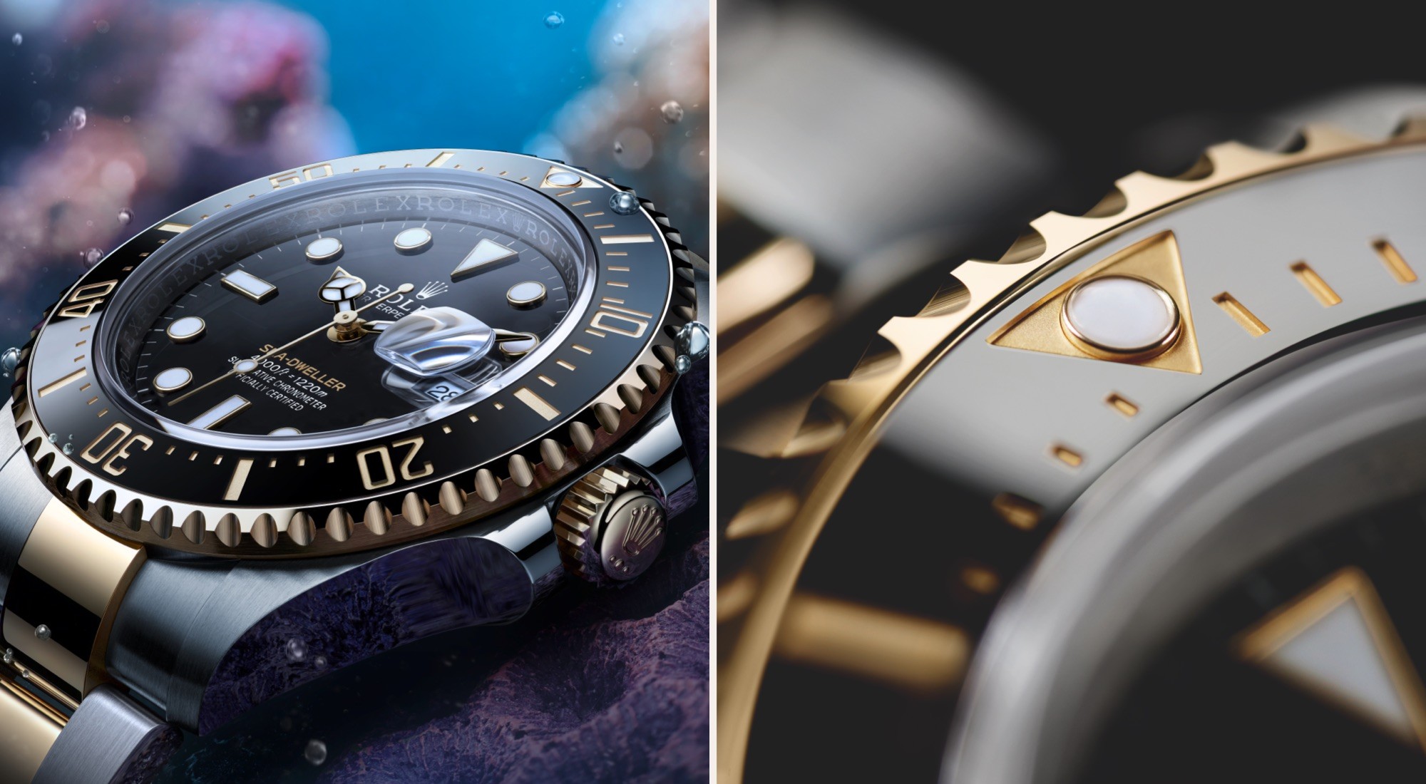 RO46F41 Sea-Dweller v7-ro46f41