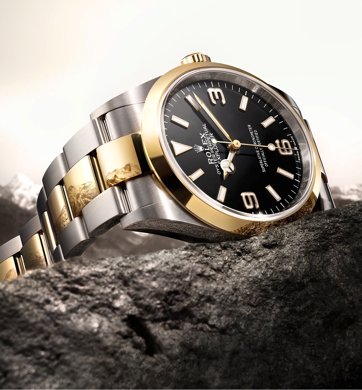 Explorer v7-rolex-explorer-ambiance-m124273-0001-portrait