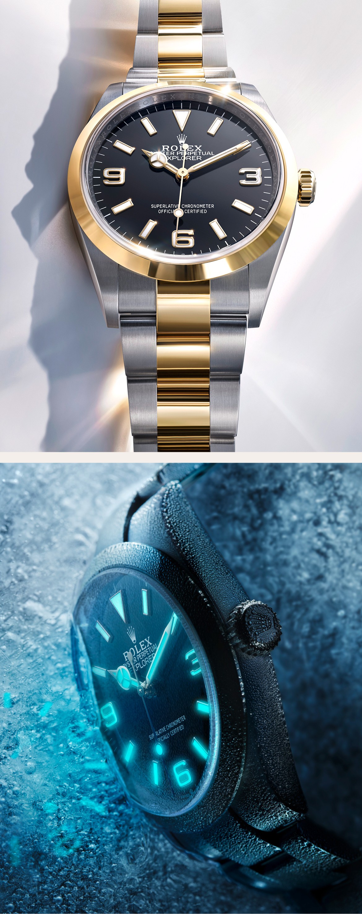 Explorer v7-rolex-explorer-designed-for-exploration-m124273-0001-and-m124270-0001-portrait